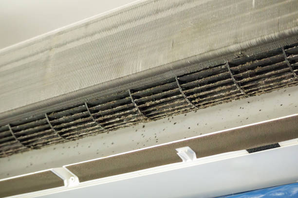 Best Air Duct Cleaning Near Me  in Howard, WI